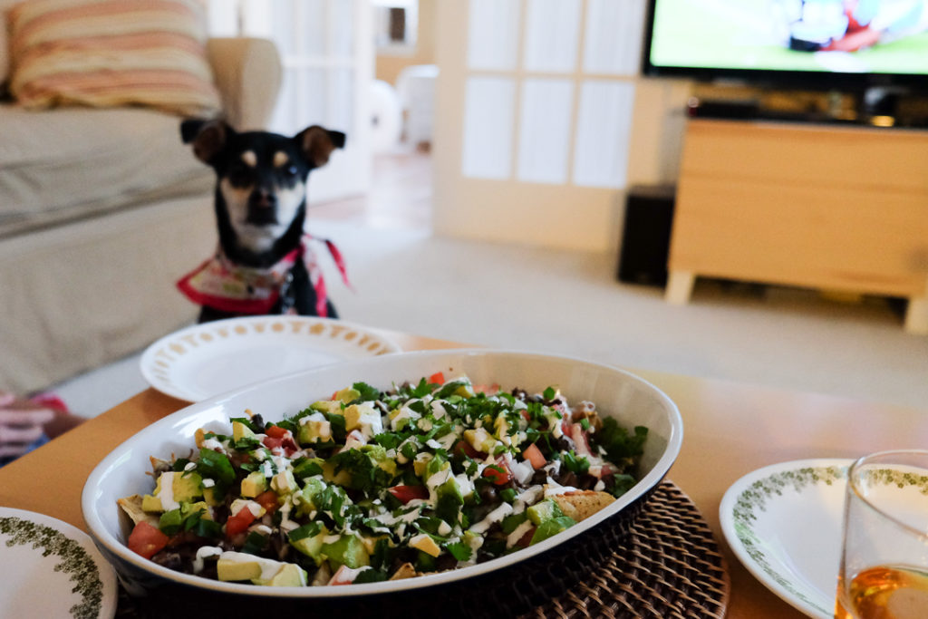 ナチョス、と犬
