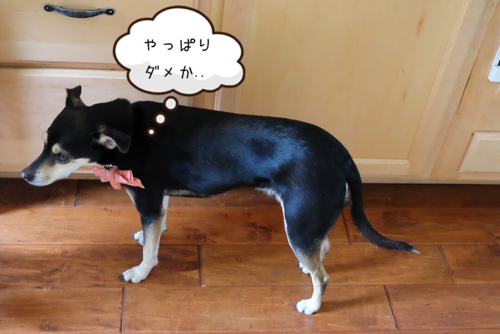 やっぱりだめ？