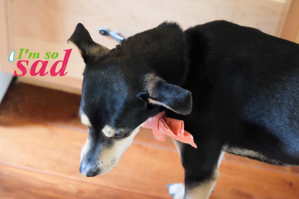 とっても悲しい