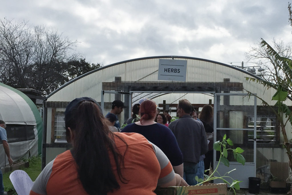 にぎわってます