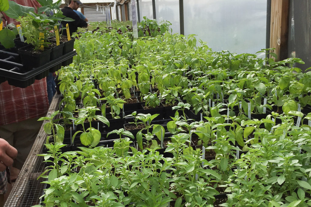 色々ありすぎて迷う