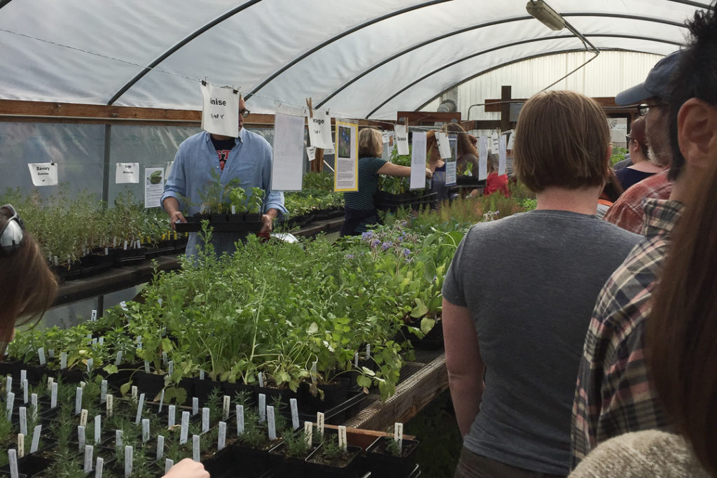 ナスだけでもすごい種類