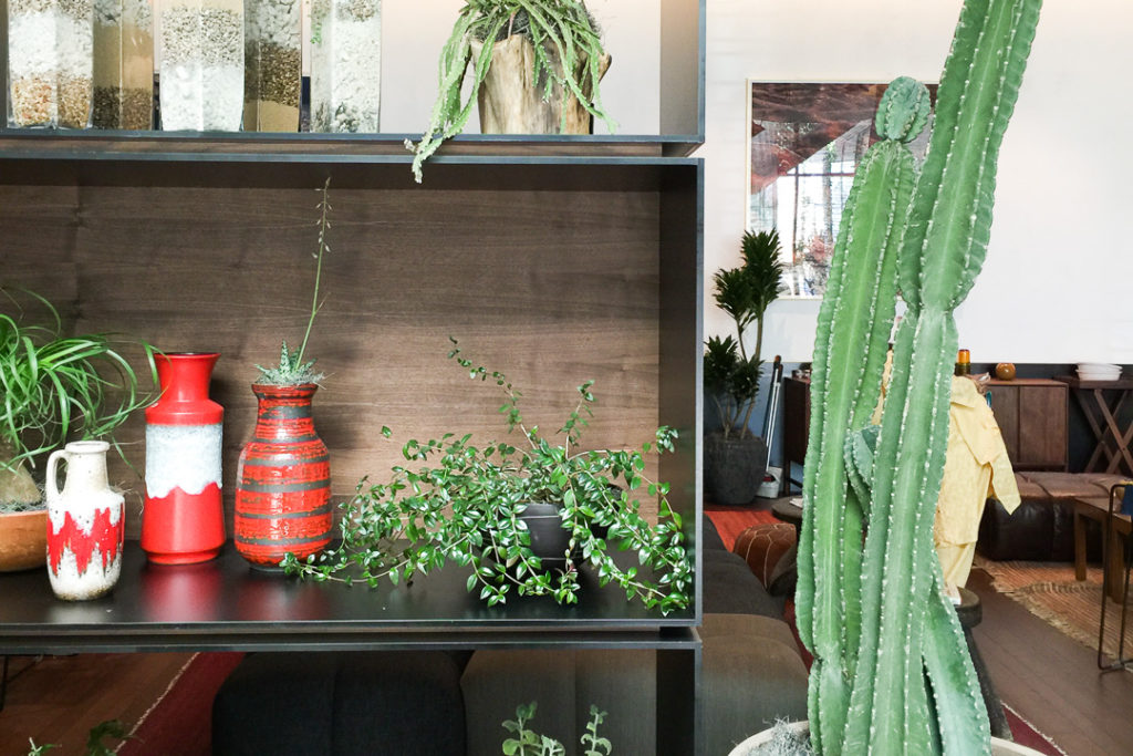 South Congress Hotel