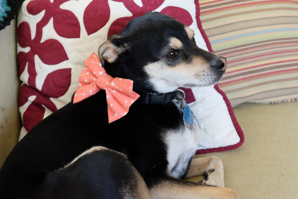 ちょっと気取ってみた