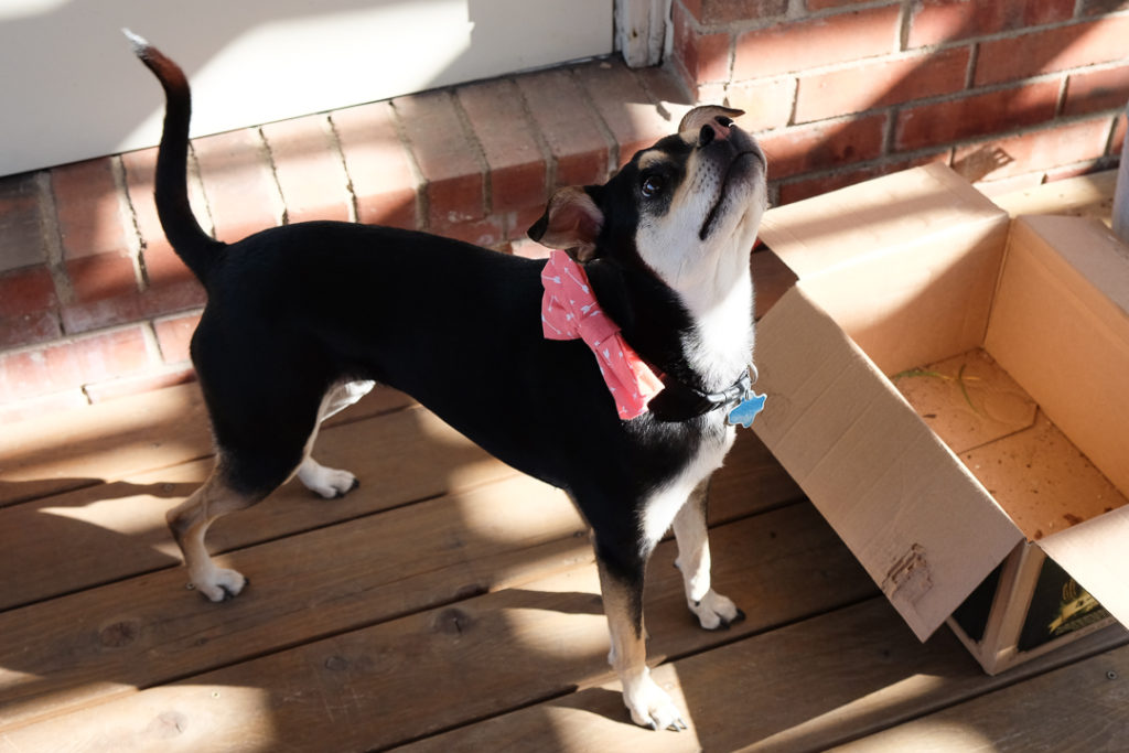 うーん、気持ちいい♪