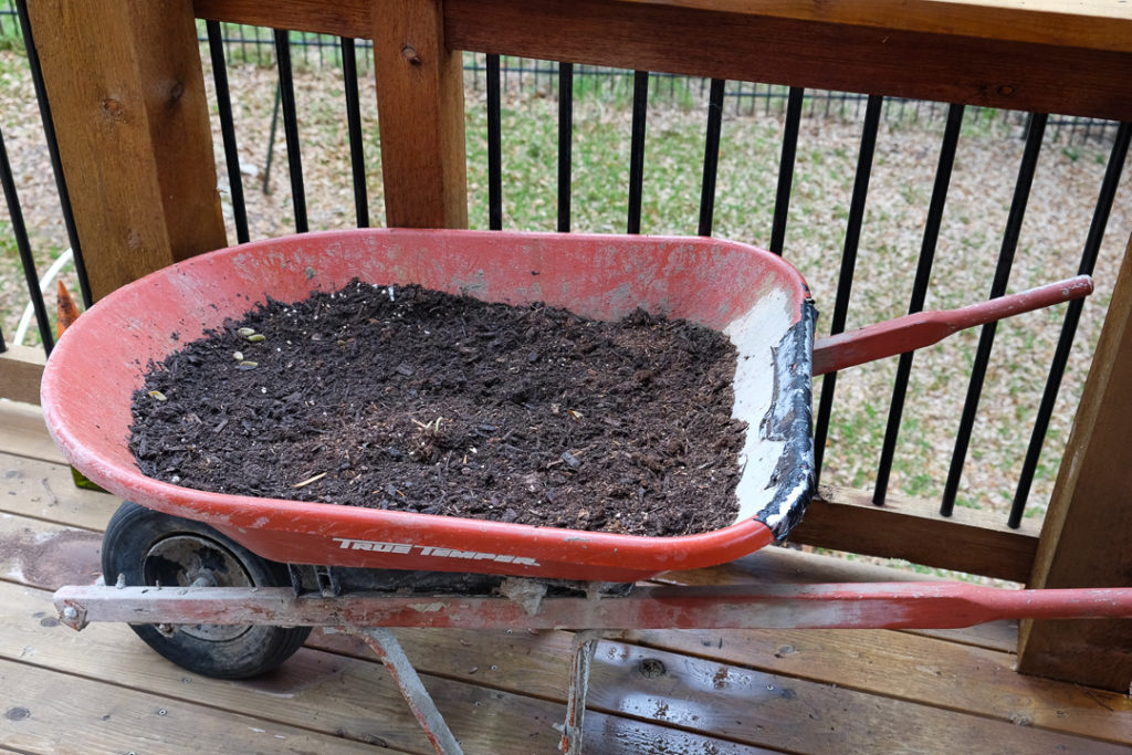 レタスを栽培予定