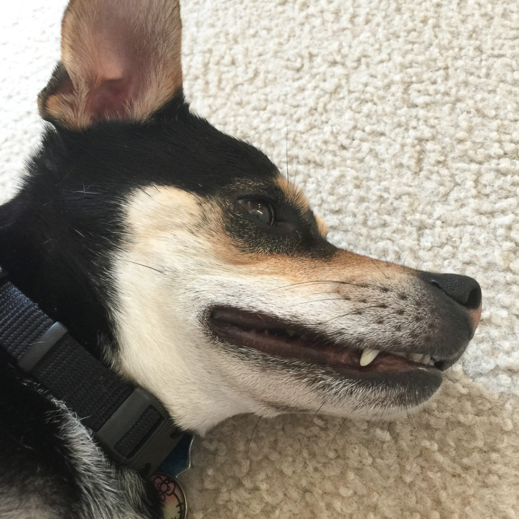 気持ちいい時のお口