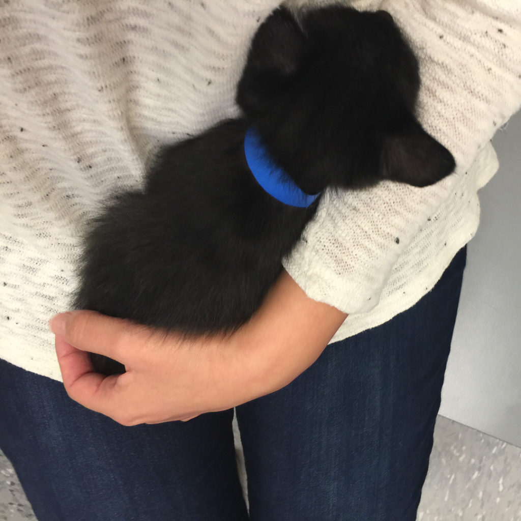 ちょっと眠くなったかも