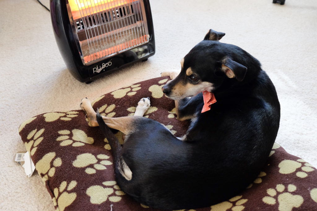 あぁ、あったかい