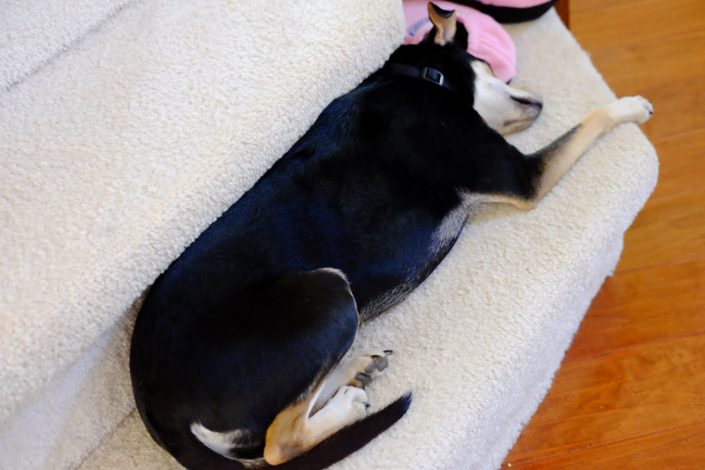 あー、気持ちいい