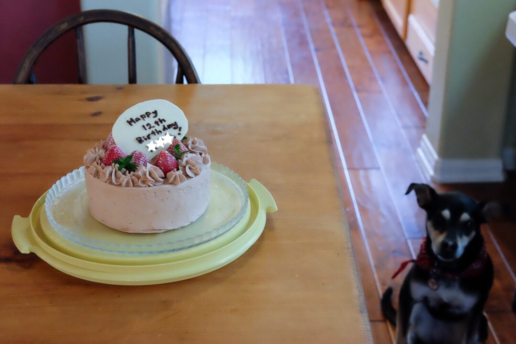 ラニ子もいるよ