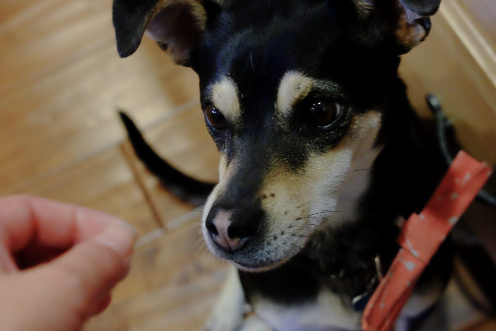 え？もうないの？