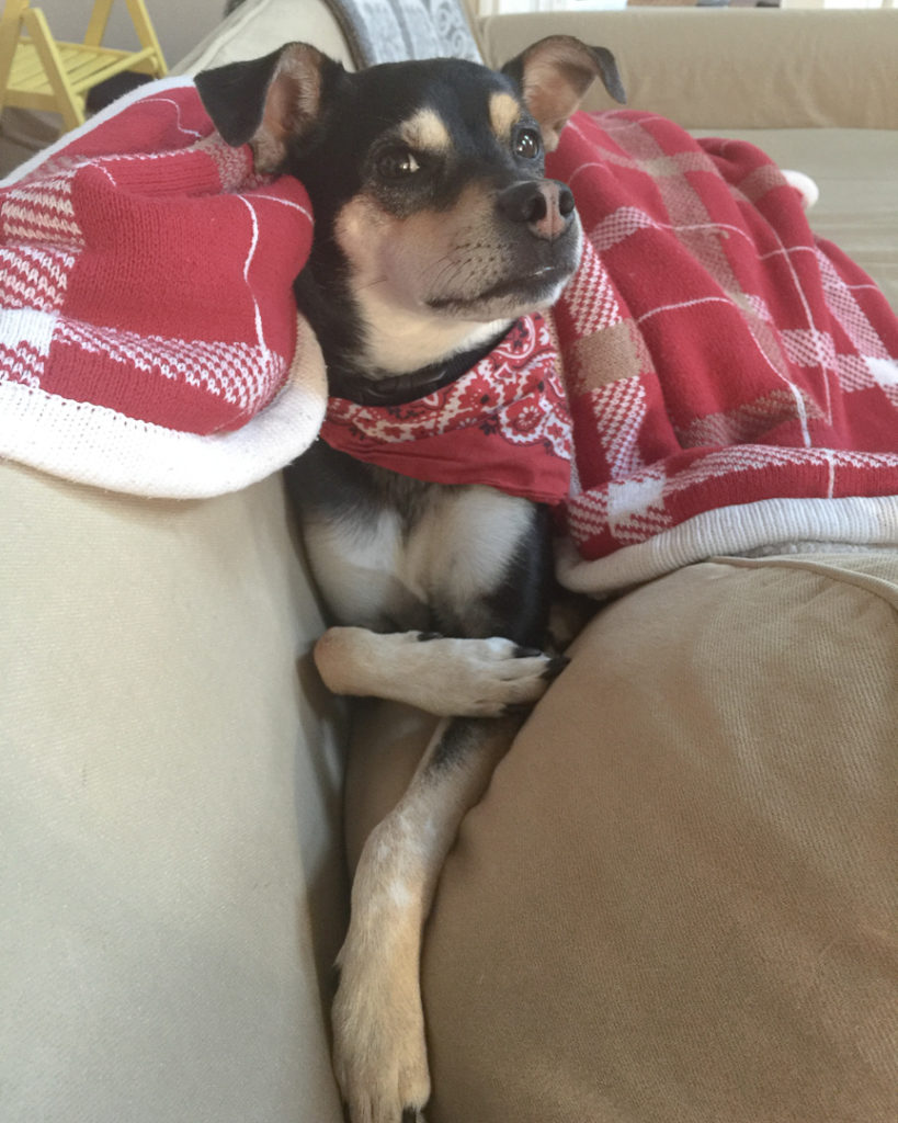 20160407-2016-04-07 07.30.06