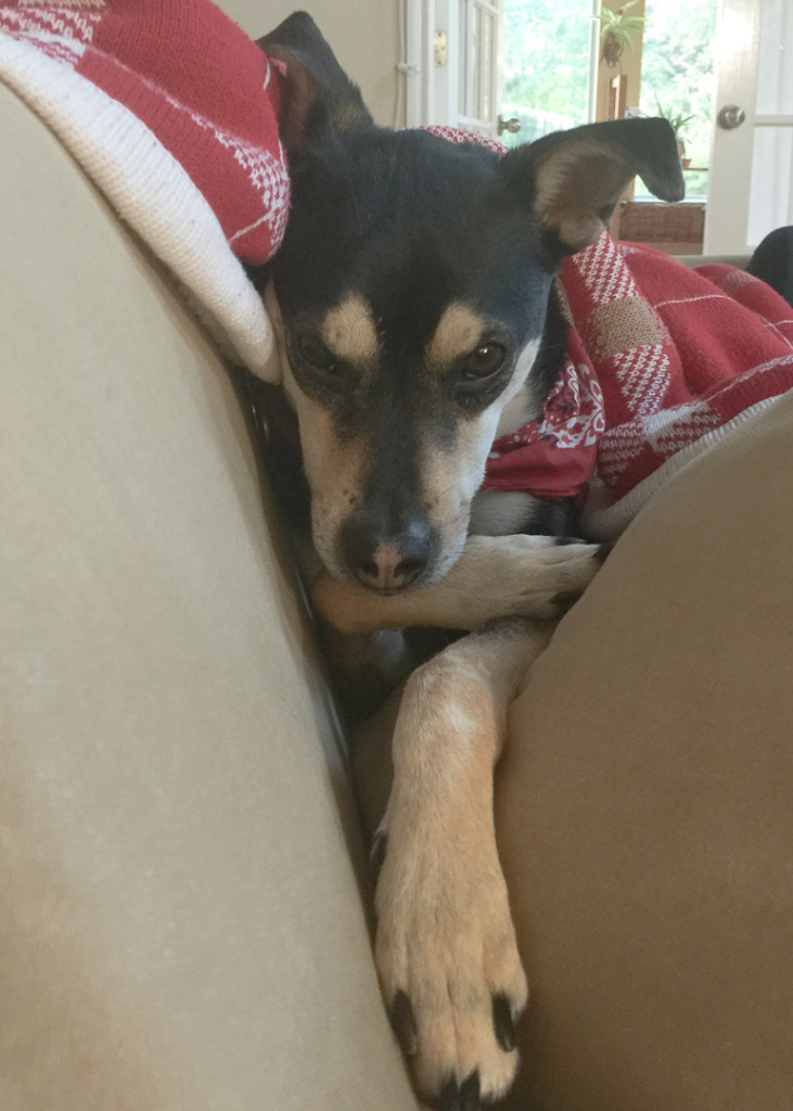 もうお・し・ま・い