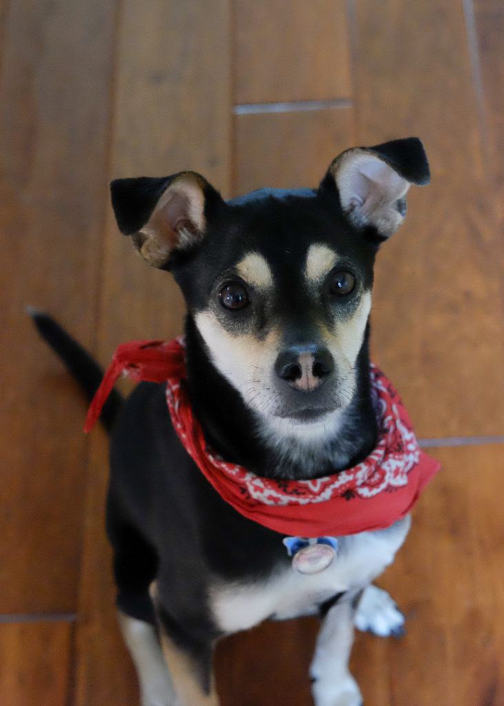 視線を感じる.. 