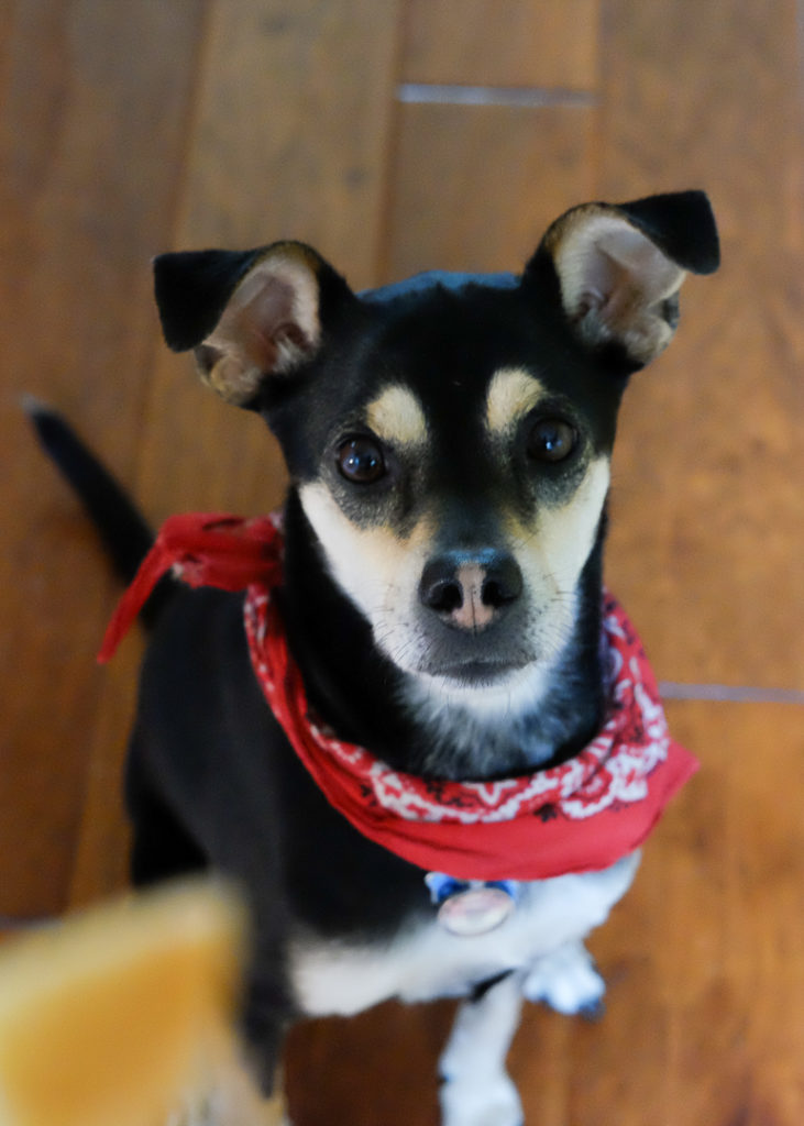 はいはい、パンね。