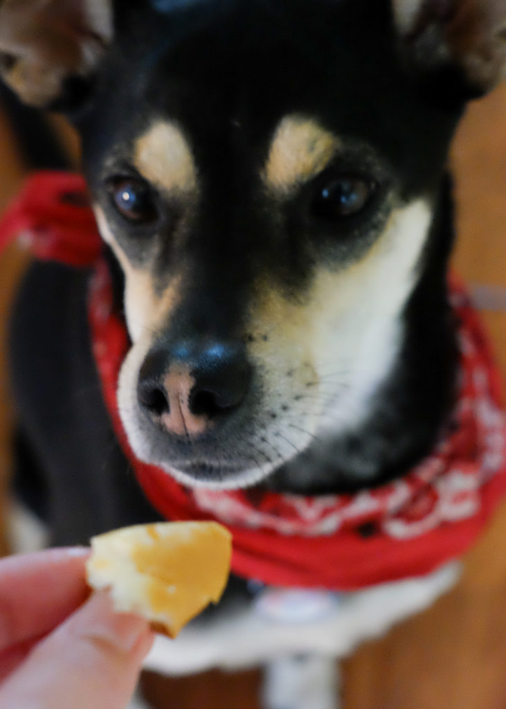 いい子で待ちます