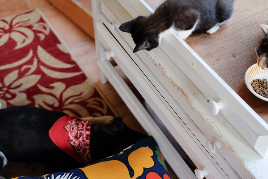 上からのぞいてみる