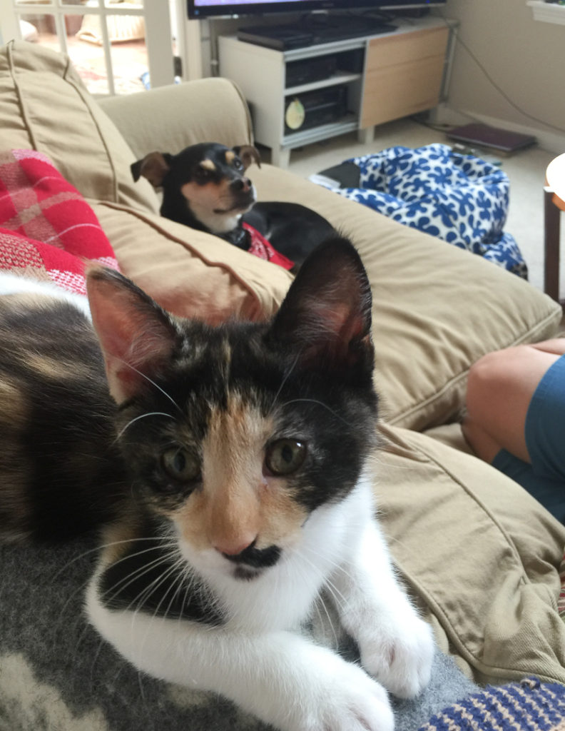 やっぱり見てる