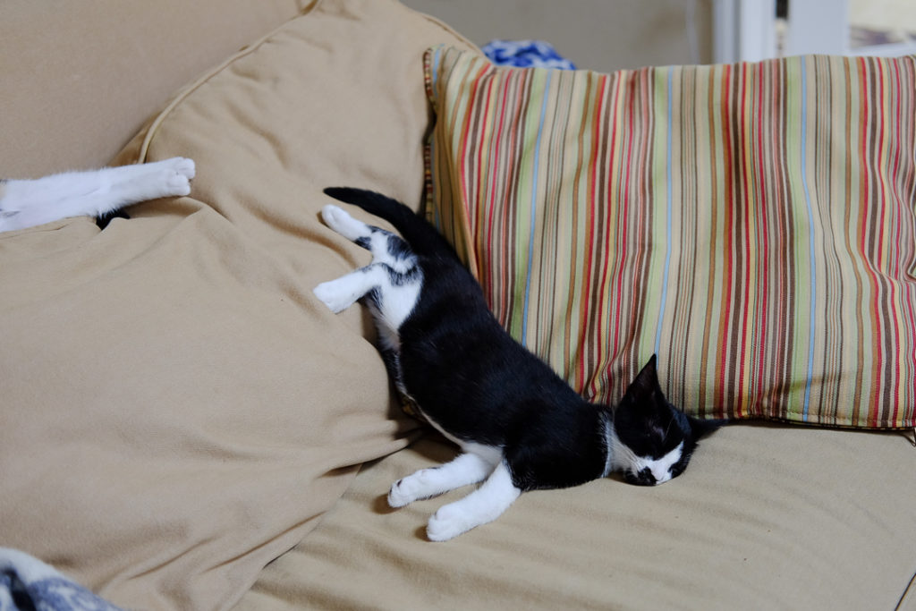 しんどくない？