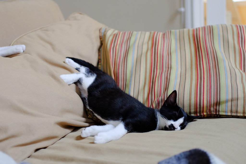 絶対しんどいよね