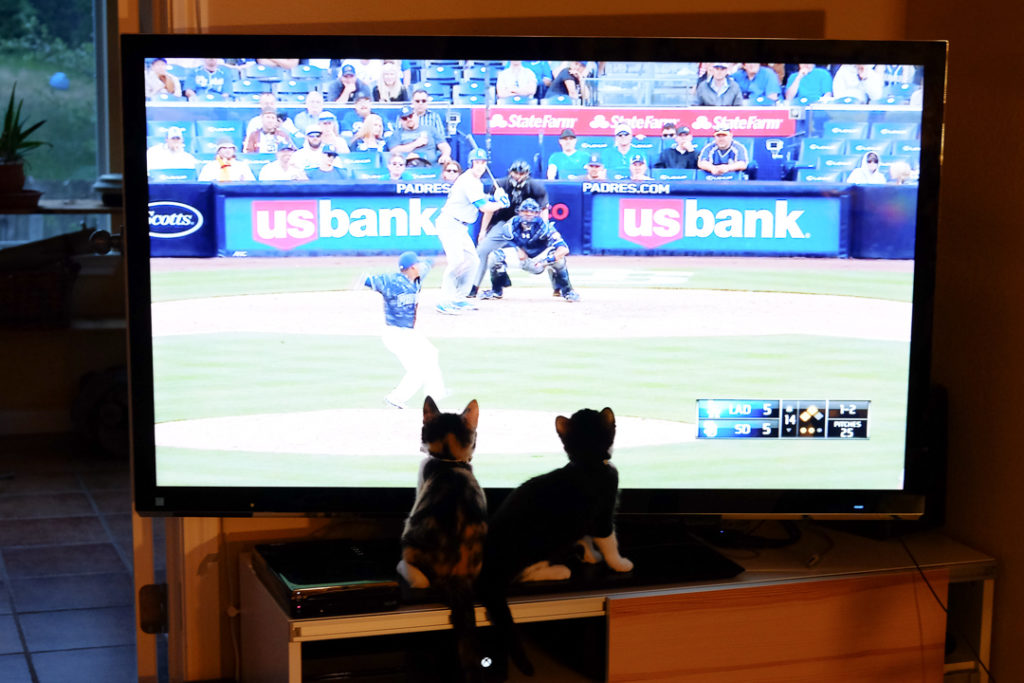 ボールを追っかける