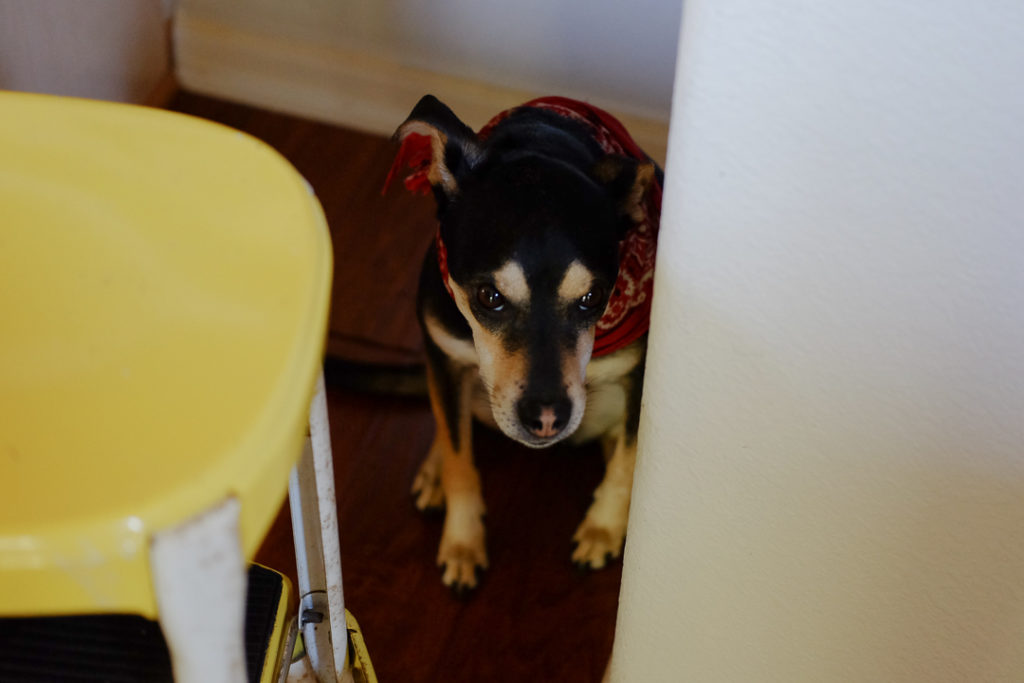 ごめんなさい.... 