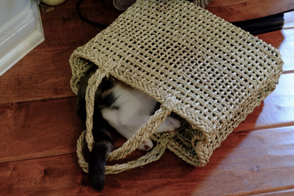 籠バッグがお気に入り