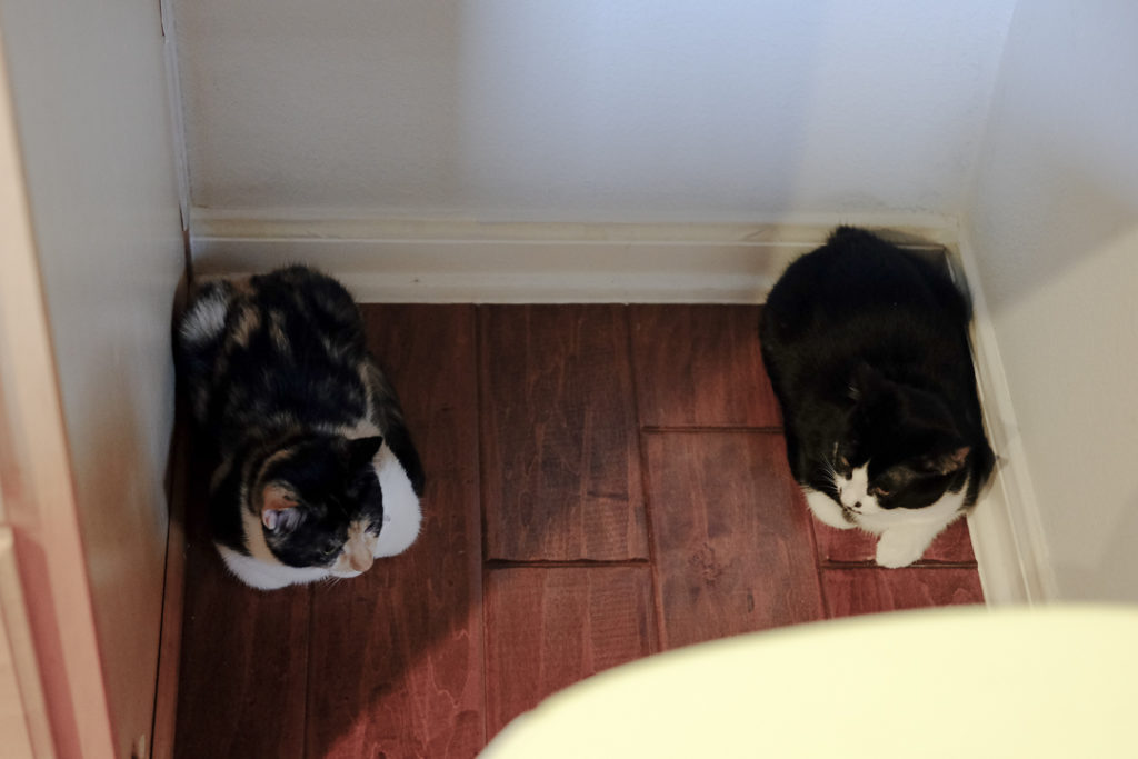 やっぱり二人が安心♪