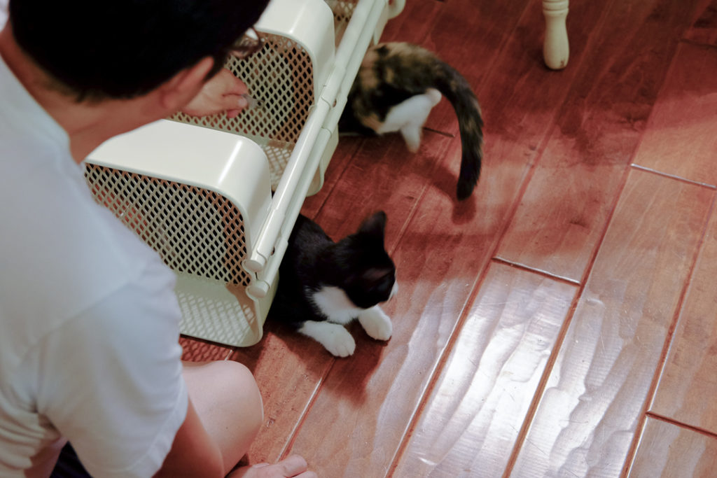 これ、わたしたちの遊び場でしょ！