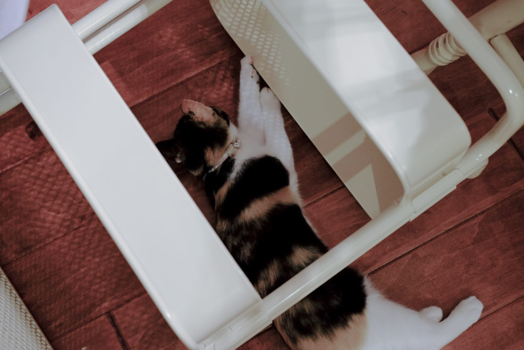 もしもし、じゃまなんですが