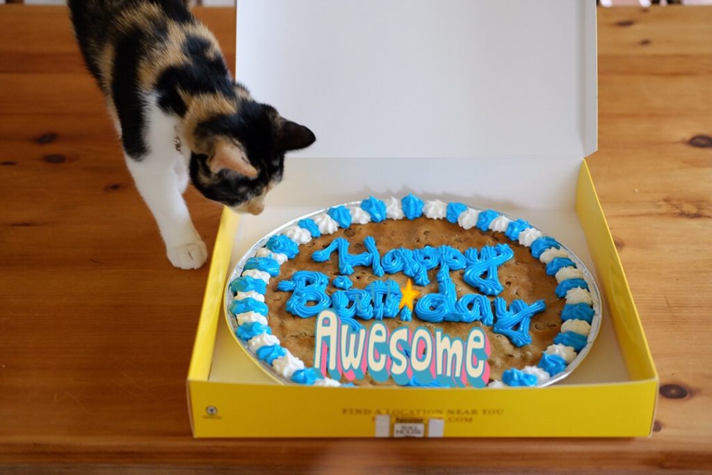 なにこれ？おいしいの？