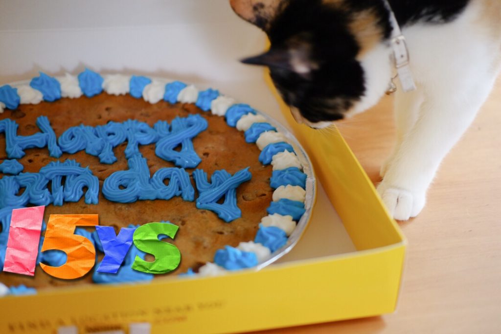 おいしそうだにゃ