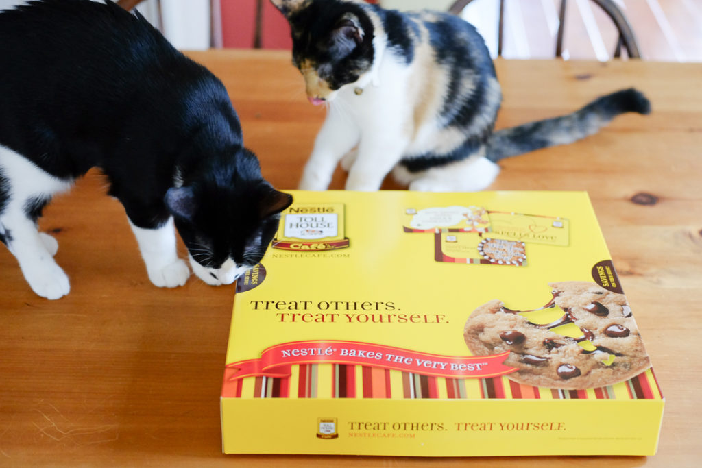 あんこも来ました