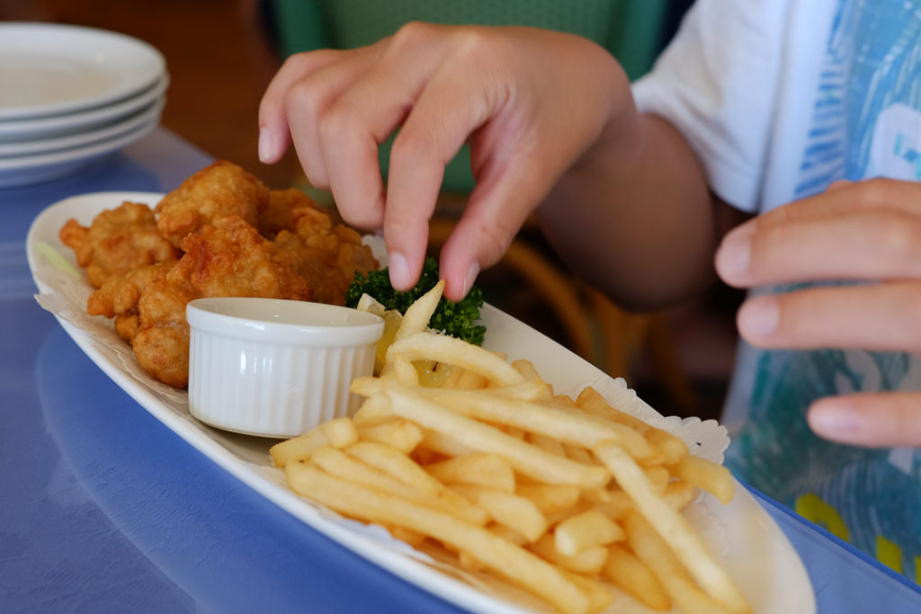 から揚げ+ポテトのセット