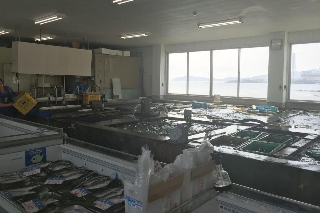 はし長さんのいけす