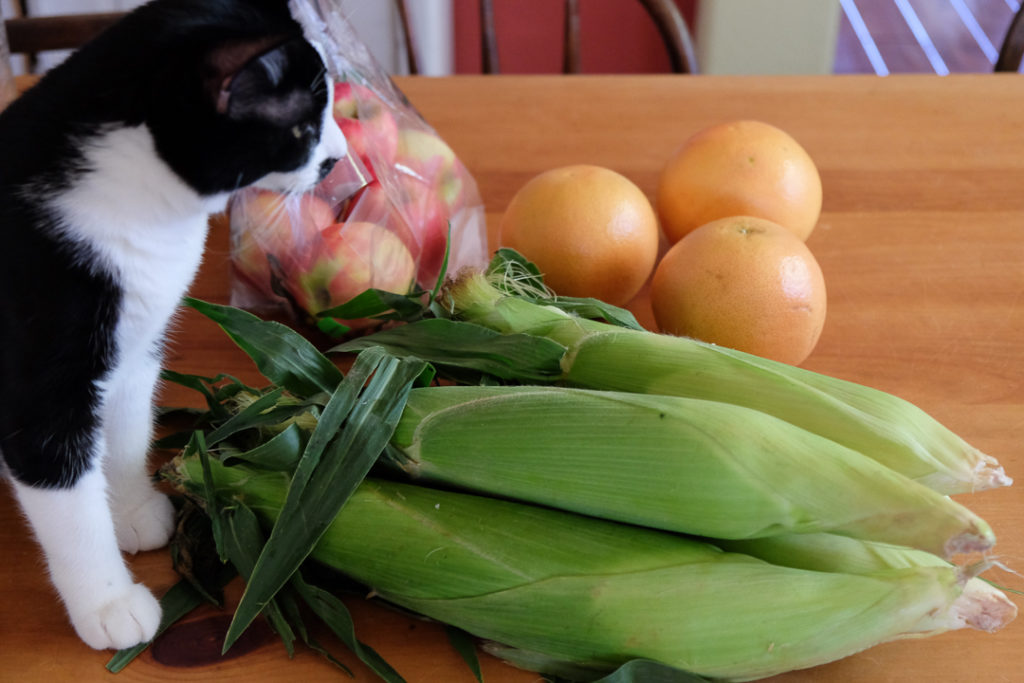 コーン、りんご、グレープフルーツ