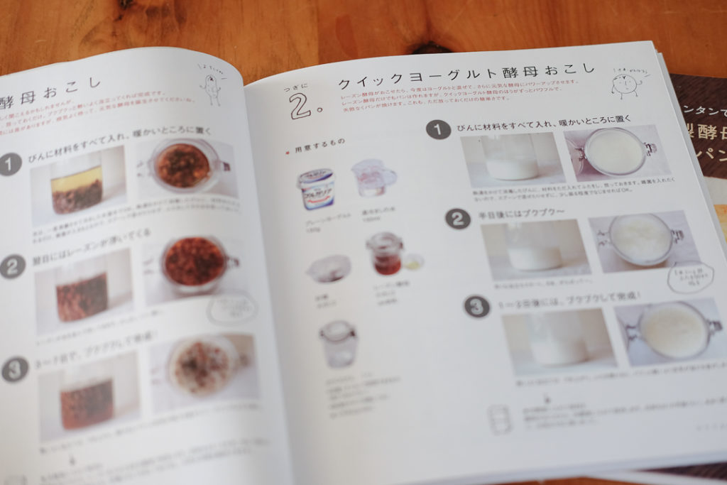 ヨーグルト酵母