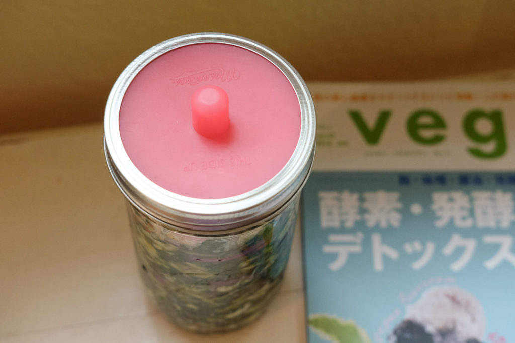 失敗梨の発酵野菜作り