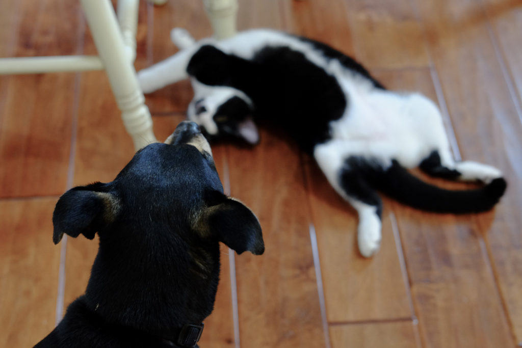 わたしのこと？