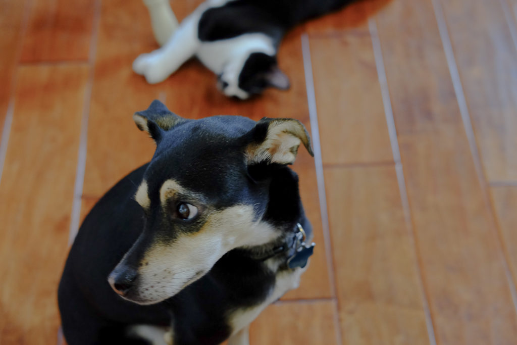 知らない、もう