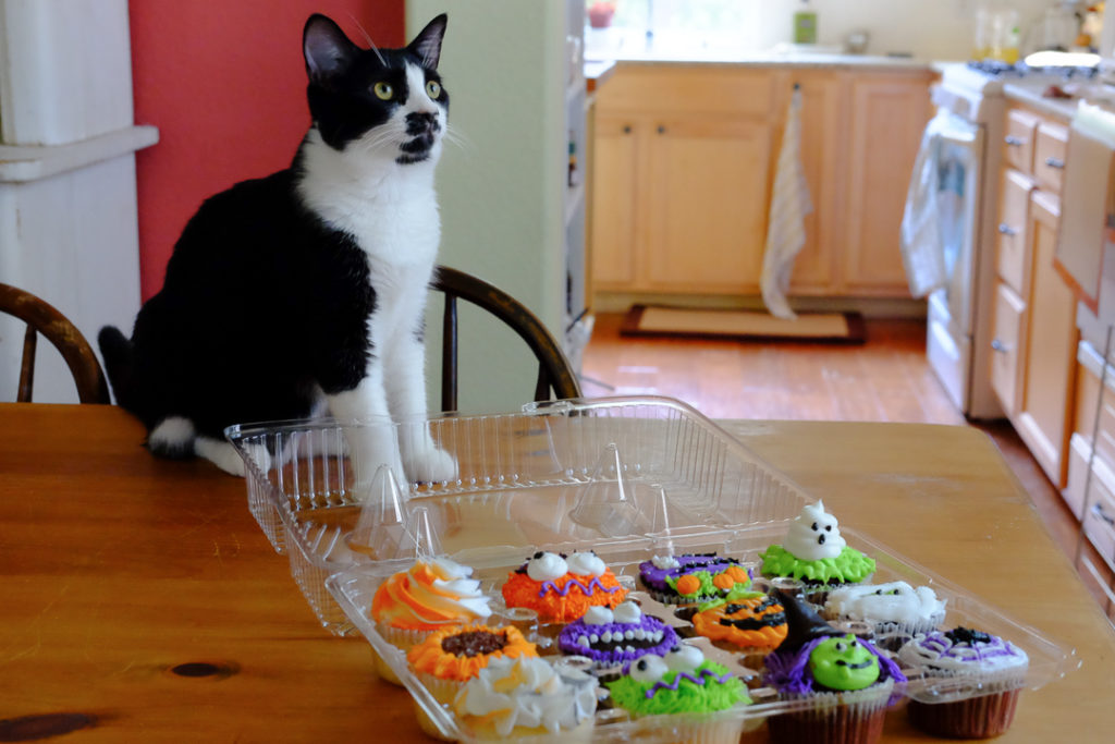 一緒にポーズ♪