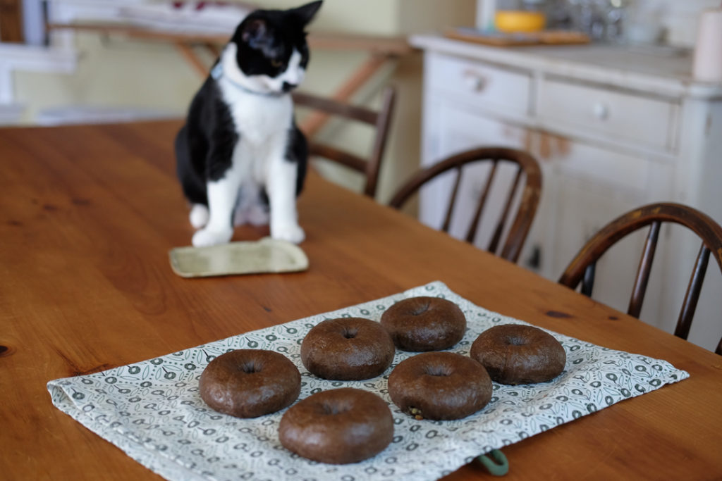 こちらがベーグルでございます