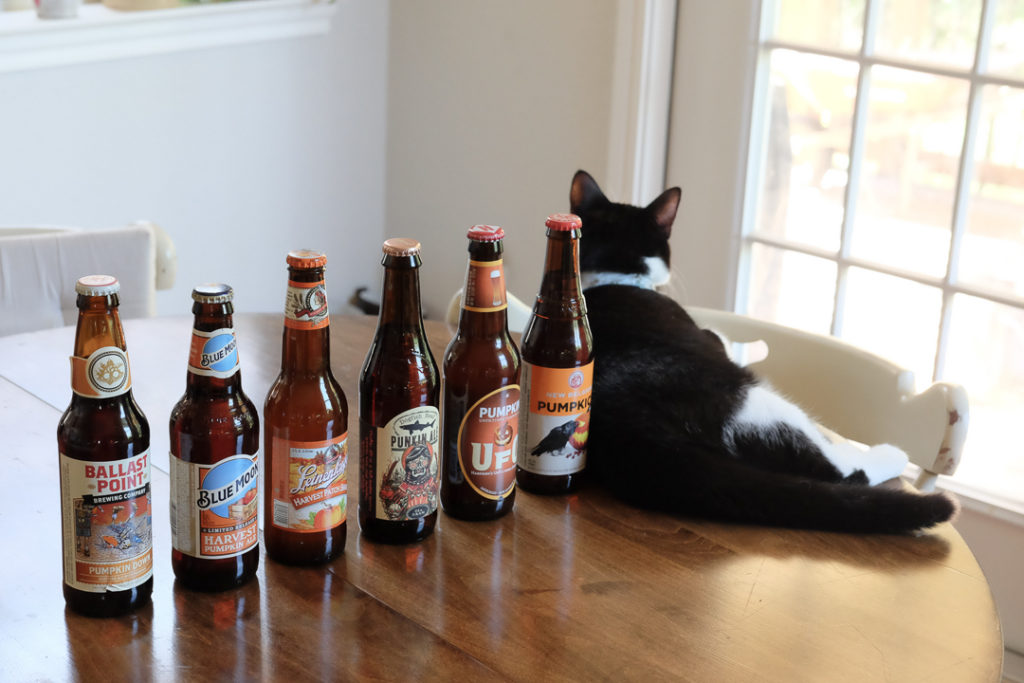 はいはい、わかりましたよ