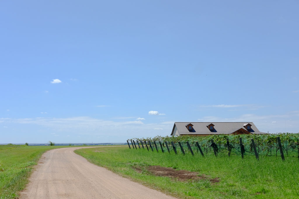 ワイナリー Pilot Knob Vineyard
