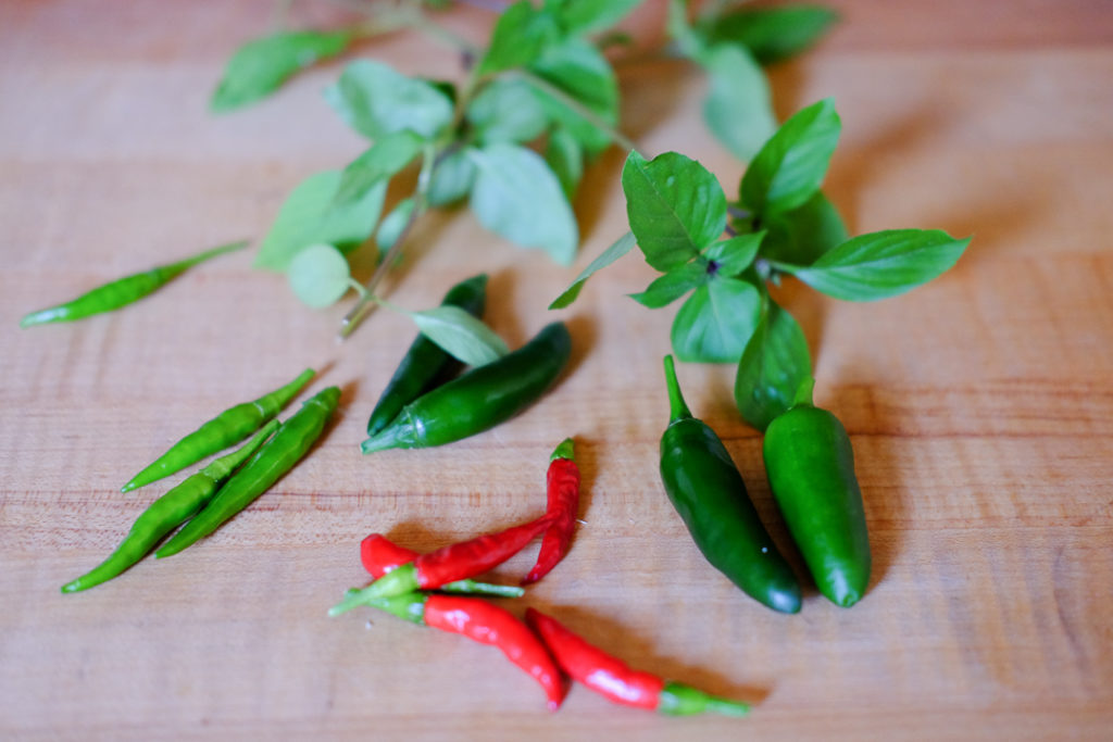 庭で採れたチリとタイバジル