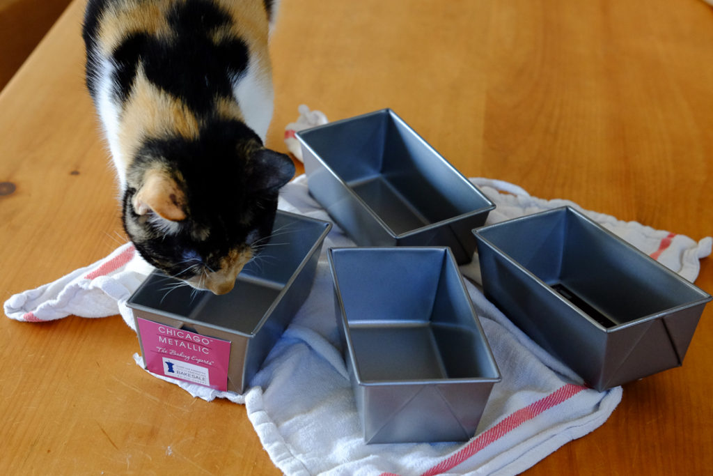 ミニパウンド型