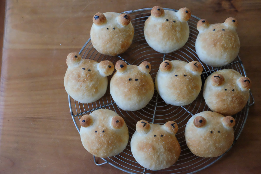 個性豊かなカエルさんたち