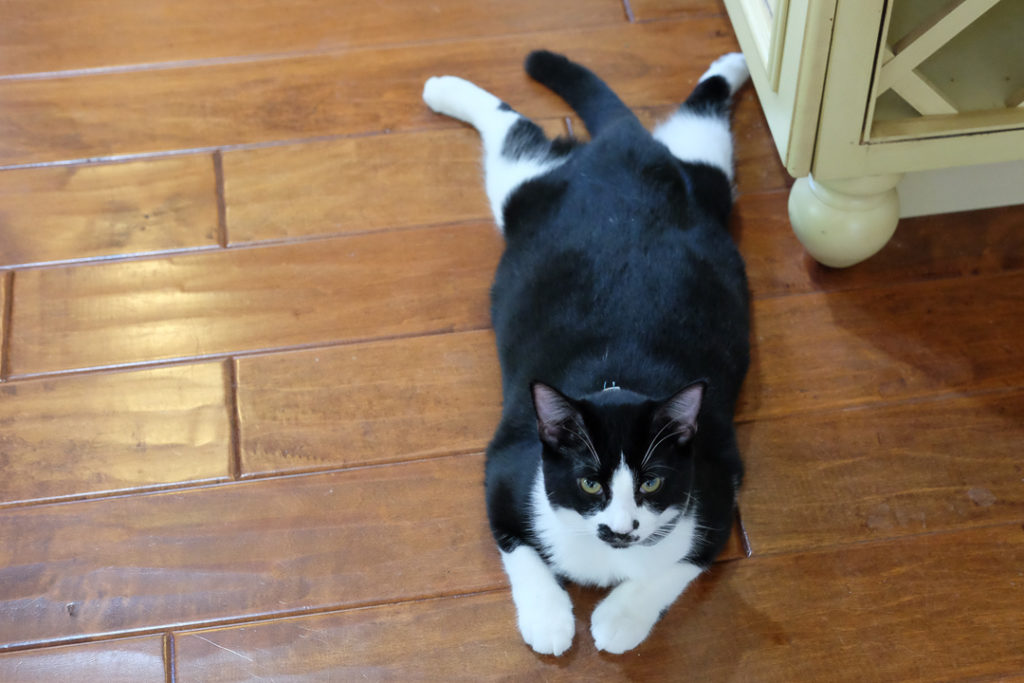 この体勢が楽なの