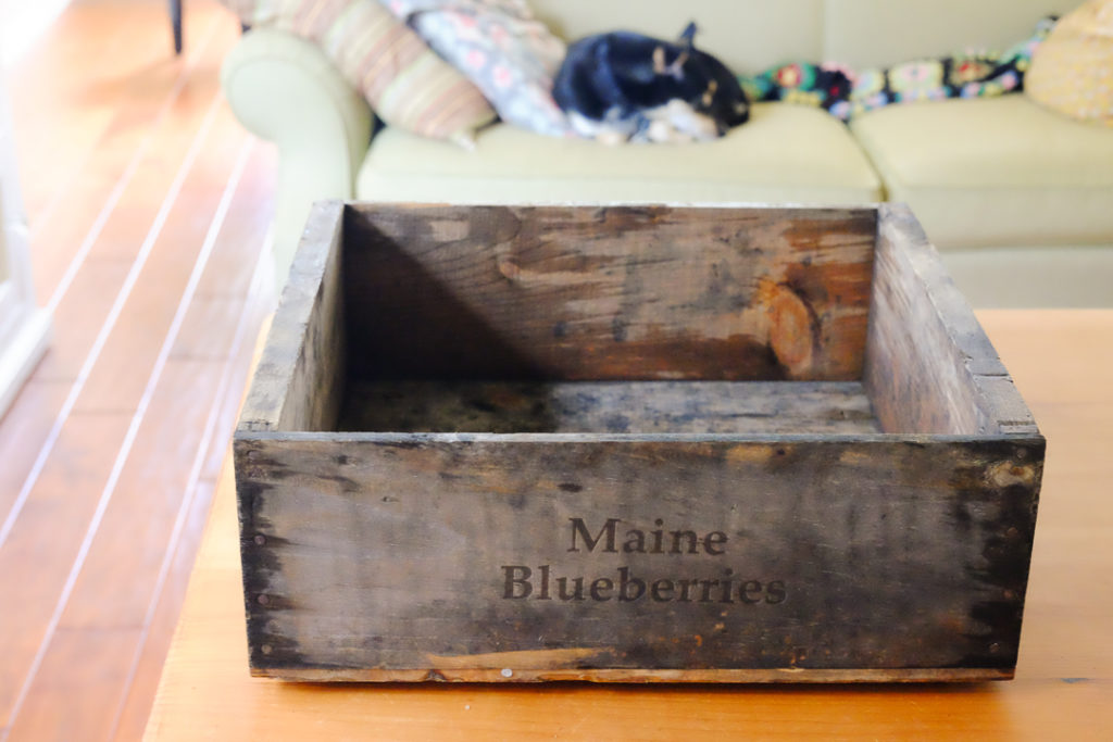 アンティークショーでの戦利品